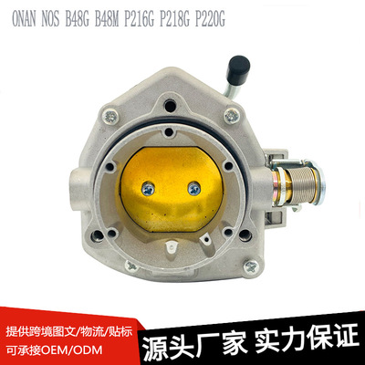 适用ONAN NOS B48G B48M P216G P218G P220G 146-0414