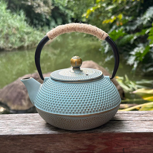 北欧复古铸铁烧水壶家居流行摆设