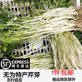 安徽无为特产新鲜蔬菜无为芹芽青芽绿杆芹菜当天现挖发货一份 包邮