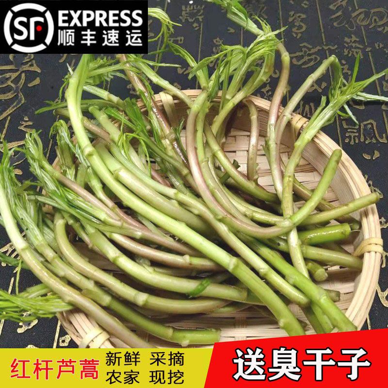 【顺丰包邮】安徽无为特产红梗泥蒿菜新鲜蔬菜红梗芦蒿每天新鲜发