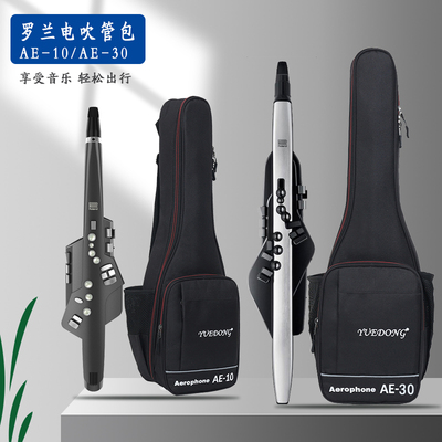 罗兰ae-10加厚防水可装电吹管