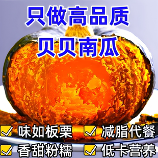 贝贝南瓜正宗板栗味小老南瓜甜粉糯宝宝辅食新鲜蔬菜山东产地直发