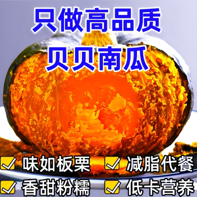 贝贝南瓜正宗板栗味小老南瓜甜粉糯宝宝辅食新鲜蔬菜山东产地直发