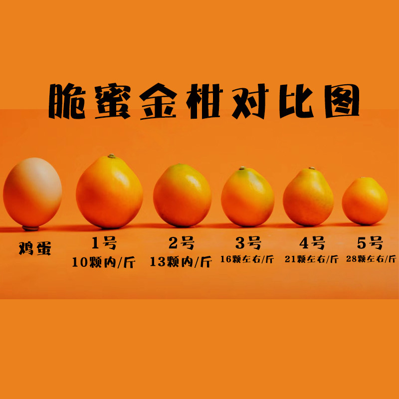 广西融安脆蜜金桔果园现摘新鲜纯甜顺丰包邮,水产肉类/新鲜蔬果/熟食,桔子,淘宝优惠券,粉丝福利购,淘宝优惠卷