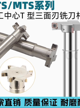 T铣刀杆HTS/MTS-55/60/65/70/75/80/100/120-H8/10/12-C20/25/32