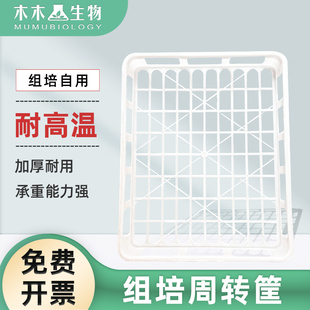 木木生物 组培周转盘 组培专用托盘 优质聚丙烯组培筐 塑料组培框