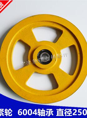 电梯涨紧轮装置SWEET奥的斯250240限速器轴承6004原装正品