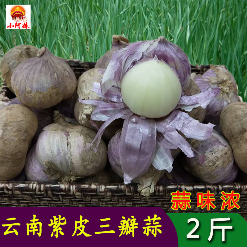 2023云南新蒜新鲜干蒜红皮大蒜紫皮大蒜头干蒜香蒜三瓣蒜3丫蒜