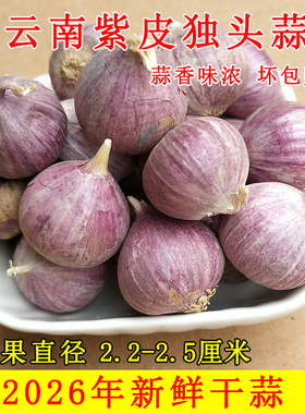 云南紫皮独头大蒜独蒜香蒜新鲜干蒜新蒜紫皮蒜红皮大蒜头独头蒜