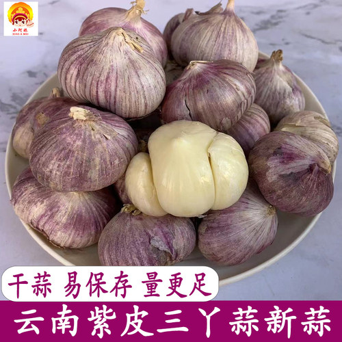 云南紫皮三丫蒜大理独蒜