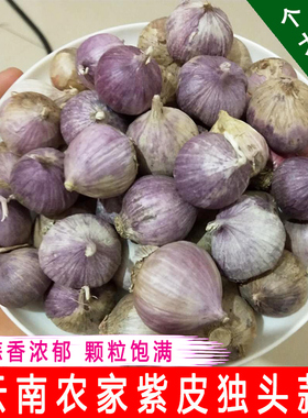 紫皮大蒜云南独蒜头新鲜干蒜独头蒜珍珠红蒜红皮蒜独蒜头农家干蒜