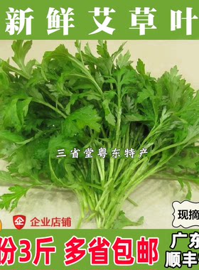 新鲜艾草叶食用米果青团糍粑