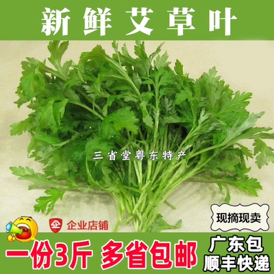 新鲜艾草叶食用米果青团糍粑