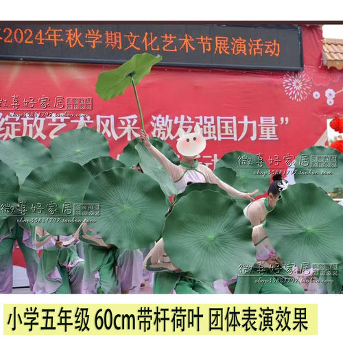 仿真荷叶舞蹈叶荷花睡莲