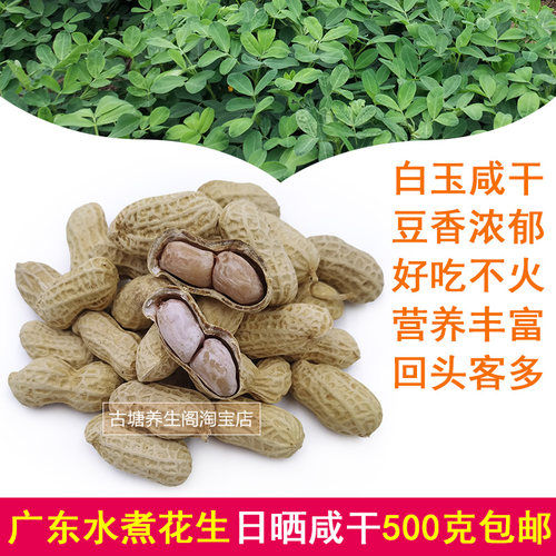 广东水煮花生日晒冠华白玉咸干