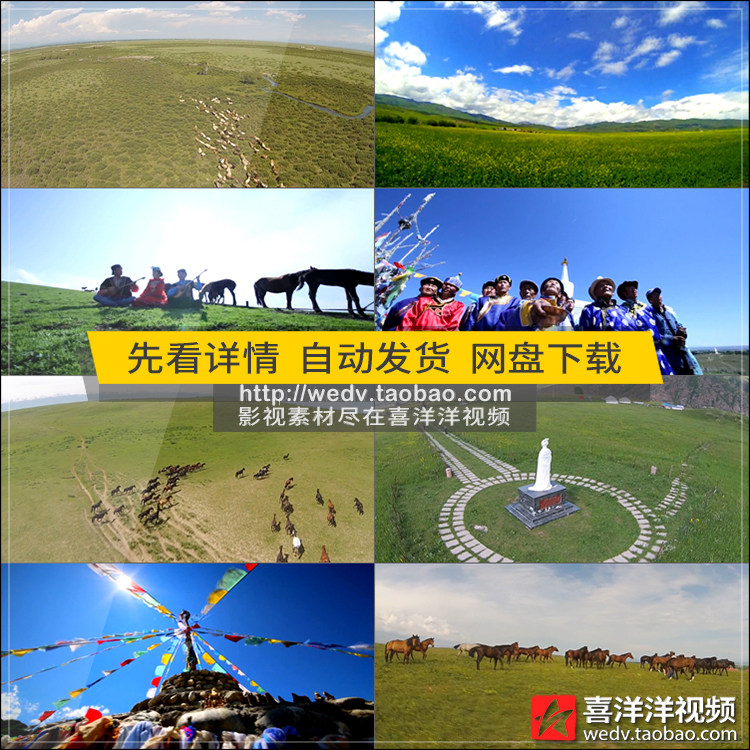 C039新疆昭苏大草原风景色民俗帐篷牛羊吃草骏马野花航拍视频素材