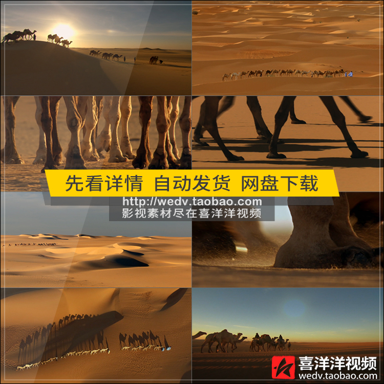 Q031航拍沙漠夕阳骆驼丝绸之路古代商贸驼队大漠黄沙高清视频素材