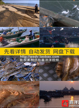 J018渔港渔船渔业海鲜渔民出海打鱼捕鱼虾鲍鱼夕阳下实拍视频素材