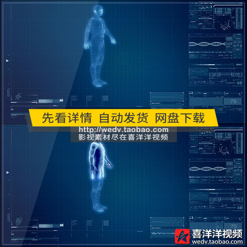 D075高科技3d三维人体扫描构造模拟X光医疗健康检查高清视频素材