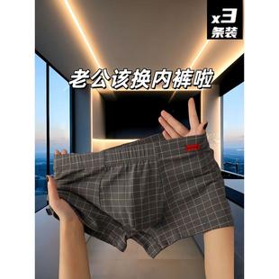 内裤 全棉平角短裤 防阴囊潮湿纯棉中腰四角裤 男式 潮流个性 潮牌男士