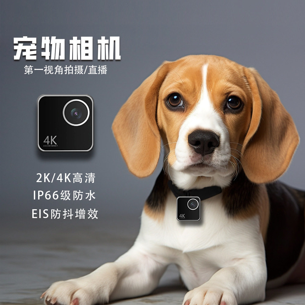 动物猫咪狗狗宠物摄像头视角智能项圈挂脖相机监控机记录仪