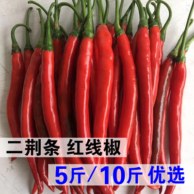 [5斤/10斤/20斤 二荆条红辣椒 云南红线椒 德宏长尖椒微辣新鲜蔬菜]