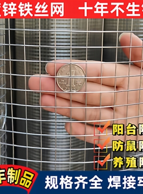 镀锌铁丝网围栏养殖养鸡钢丝防护防鼠网片小网格铁网栅栏阳台护栏