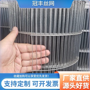 镀锌铁丝网围栏钢丝长孔养殖防鼠防护鸽舍铁网格网鸽笼子鸟笼网片