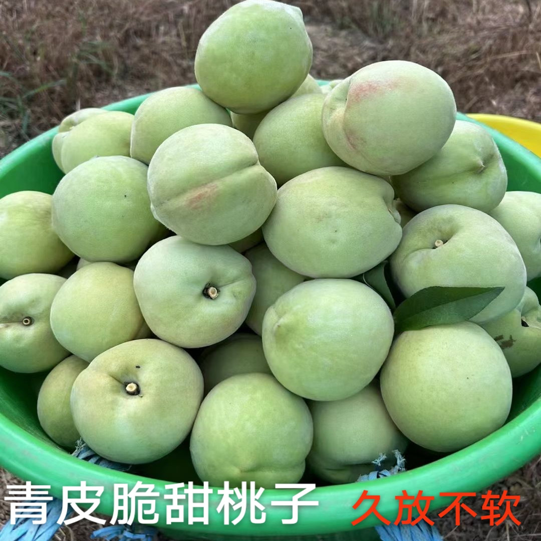 正宗湖北恩施青脆桃新鲜现摘脆蜜桃鹰嘴桃大青桃毛桃应季孕妇水果