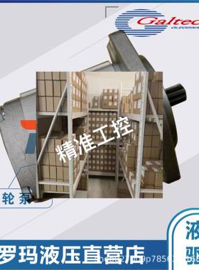 意大利GALTECH原装高泰克1SP/2SP/3SPGALTECH单联泵GALTECH多联泵