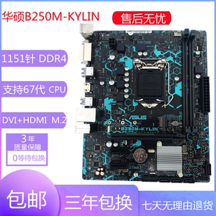PLUS KYLIN 九九新华硕B250M 电脑主板 台式 支持6代7代CPU