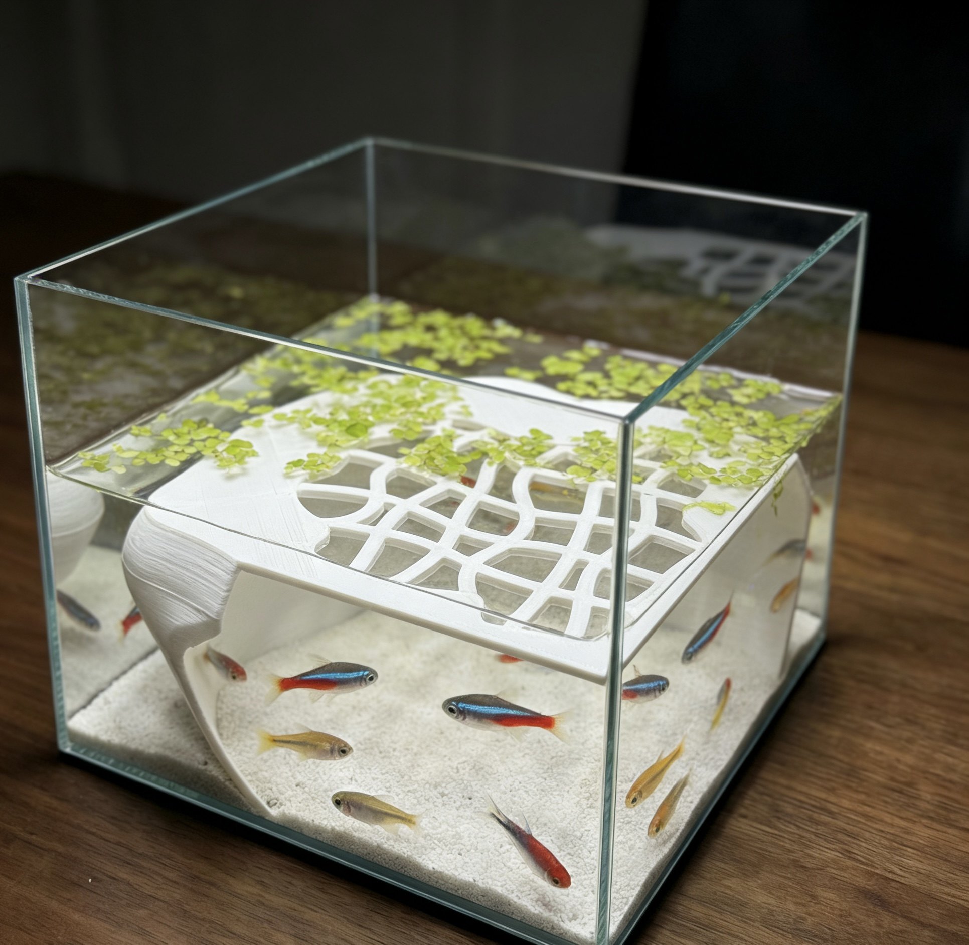 鱼缸造景观赏洞鱼虾躲避屋虾洞创意地下洞穴饲养缸造景装饰,宠物/宠物食品及用品,造景/装饰,淘宝优惠券,粉丝福利购,淘宝优惠卷