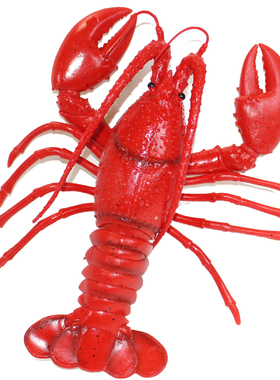 仿真大龙虾螃蟹模型 海洋动物玩具塑胶大号龙虾道具儿童早教玩具