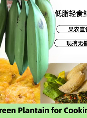 芭蕉新鲜African flavor水果大蕉Green raw plantain酸甜青绿香蕉
