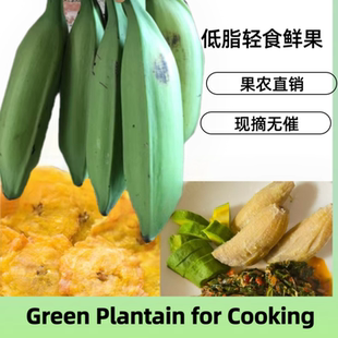 酸甜香蕉青绿 plantain当季 芭蕉轻食新鲜蔬菜水果大蕉Green raw