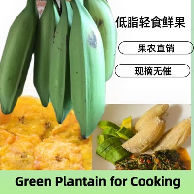非洲大香蕉芭蕉Cookingbananas