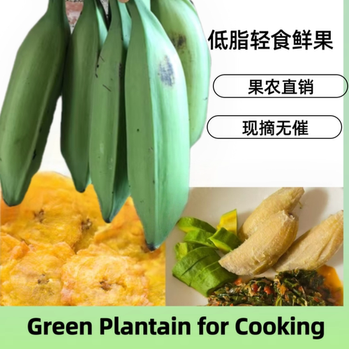 非洲大香蕉芭蕉Cookingbananas