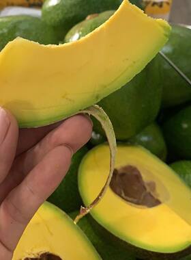 牛油果巨无霸avocado,广西牛油果椭圆形圆形皮软口感新鲜
