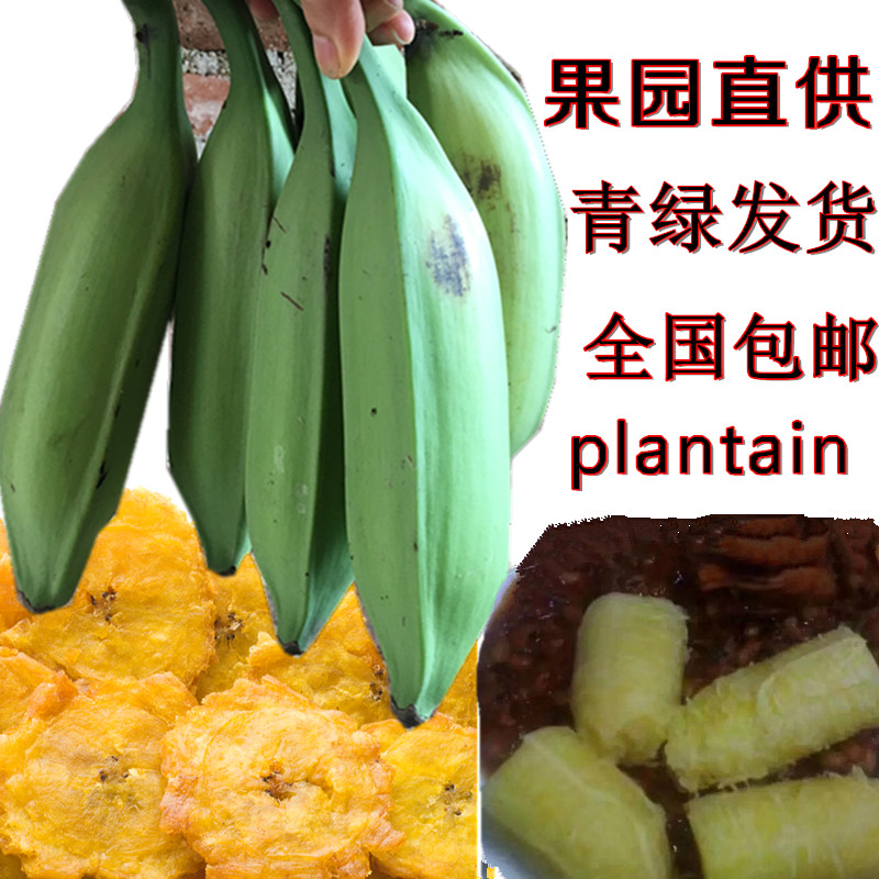 热带水果芭蕉新鲜蔬菜大蕉raw plantain当季酸甜香蕉现摘青绿-封面