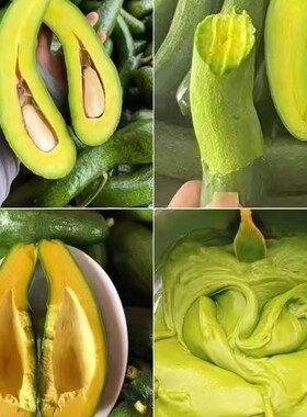 越南长牛油果进口avocado,Creamy & Rich • Less Pit More Fruit