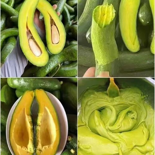 越南长牛油果进口avocado,Creamy & Rich • Less Pit More Fruit