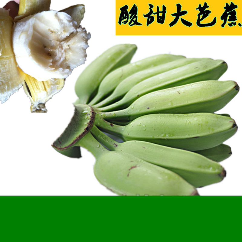 新鲜banana5广东特产水果香蕉