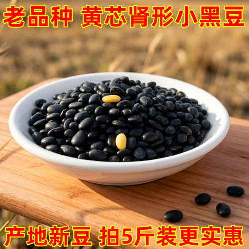 肾形黄心小黑豆新货豆子1斤5斤装