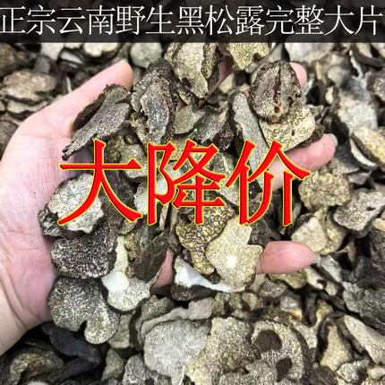 正宗云南野生黑松露干片完整大片纯野生块菌猪拱菌特级精品野生姑