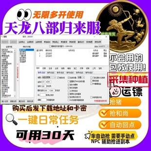 天龙八部归来服 猖狂 回点 抢和尚 猪 一键日常帮贡 无限副本运镖