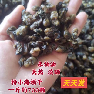 特小厦门石头海蛎干珍珠牡蛎干野生生蚝干鼓蚝干500g克干货可即食
