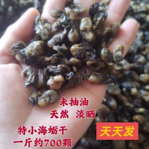 新鲜淡干特小厦门野生石头海蛎干