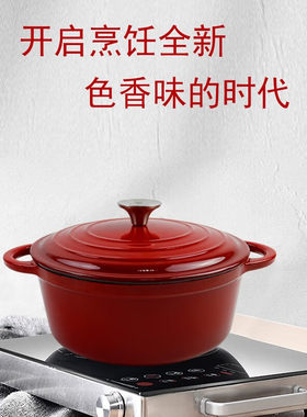 康宁珐琅锅铸铁锅焖焗锅家用多功能炖锅海鲜锅煲汤锅不粘煮锅22CM