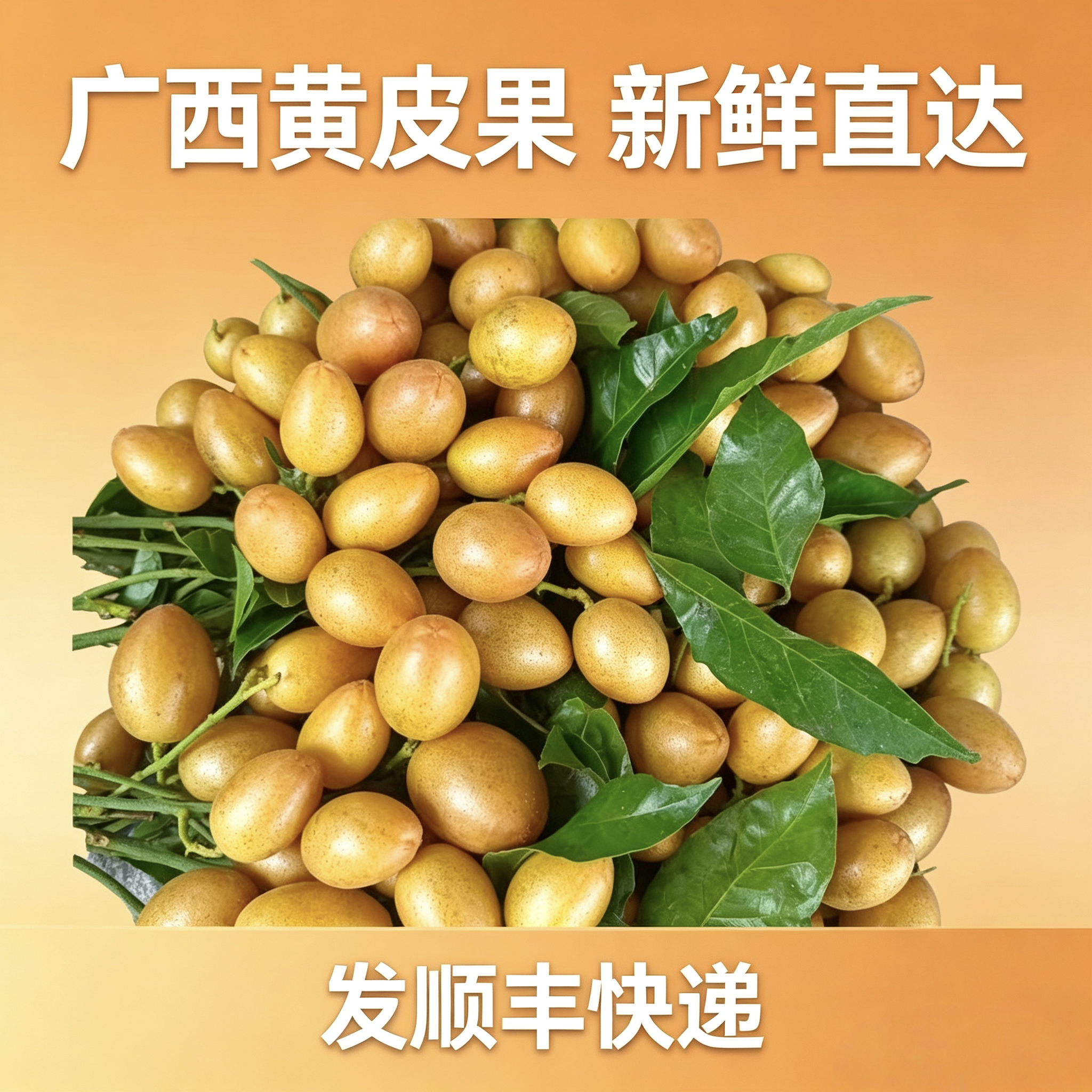 广西黑金刚黄皮果现摘酸甜整箱