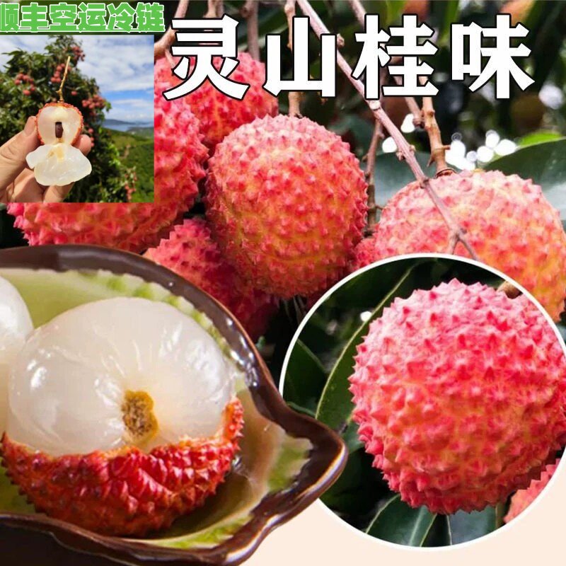广西桂味荔枝顺丰空运冷链包邮